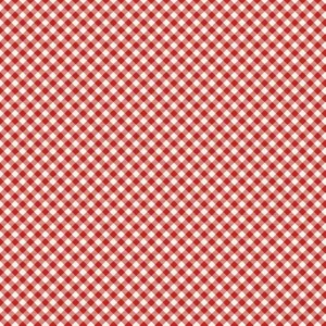 Gingham Red - PBS Fabric