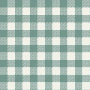 Buffalo Check - Mint - PBS Fabric